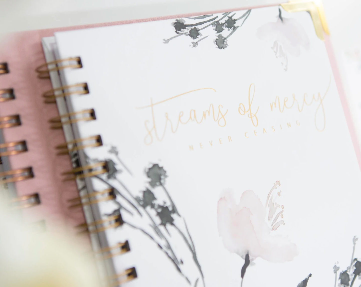 Bible Study Journal - Streams of Mercy
