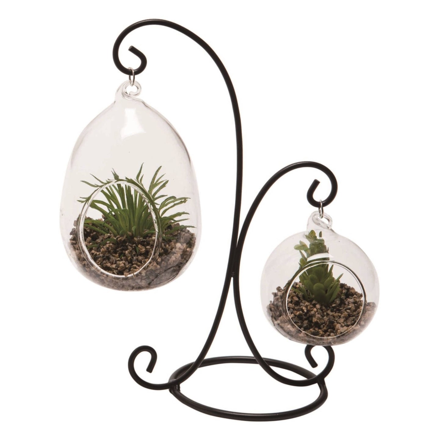 Glass 8 in. Clear Hanging Succulent Display