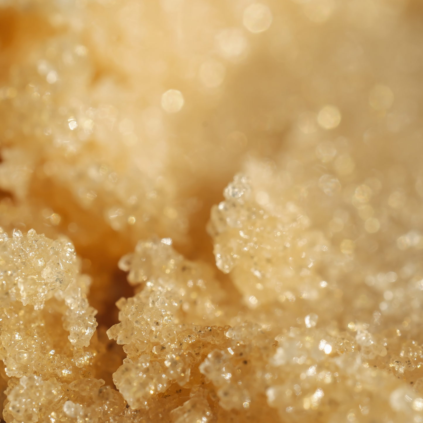 Foaming Sugar Scrub – Buff, Cleanse & Glow