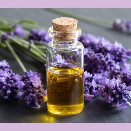 Infused Body Oil