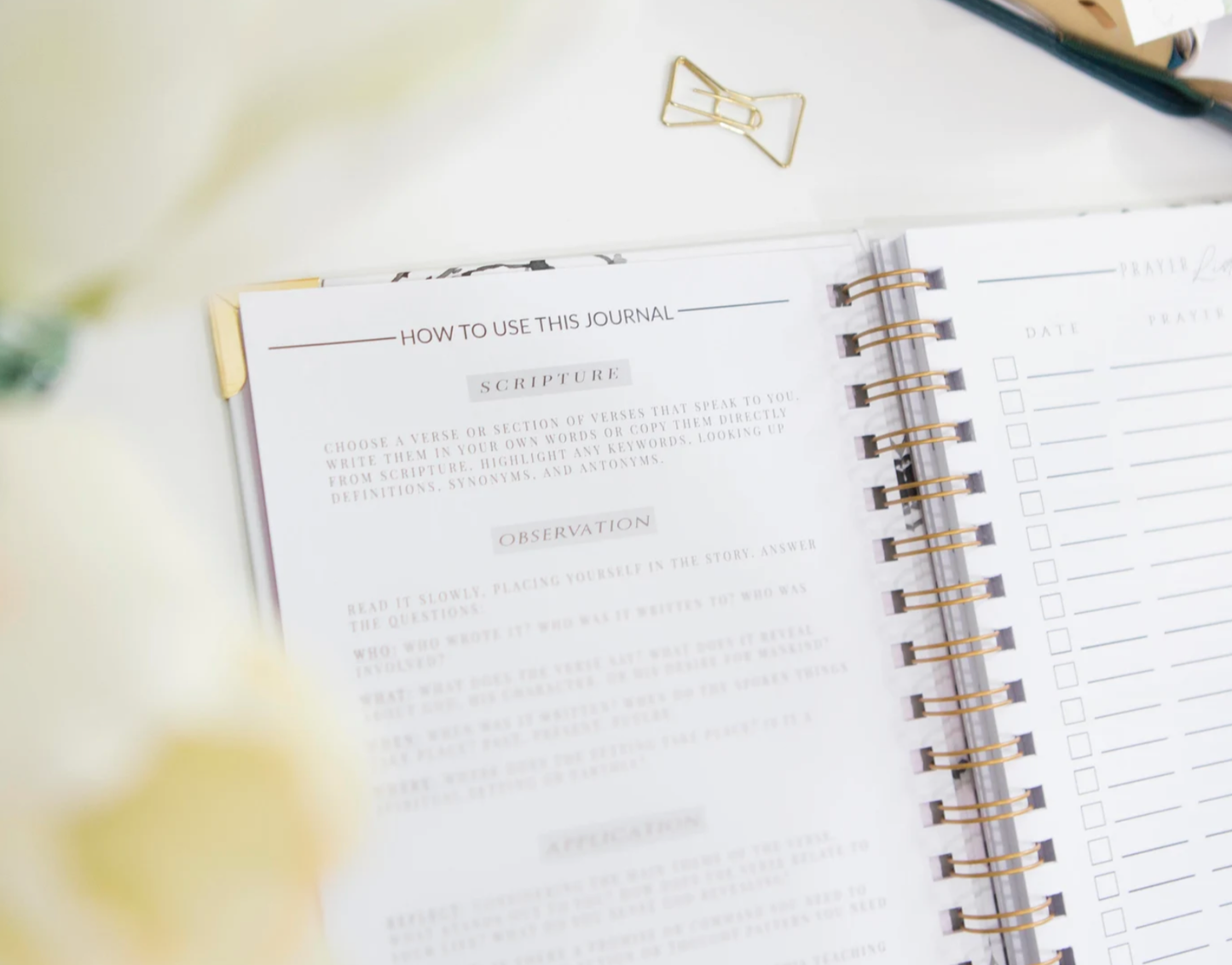 Bible Study Journal - Streams of Mercy