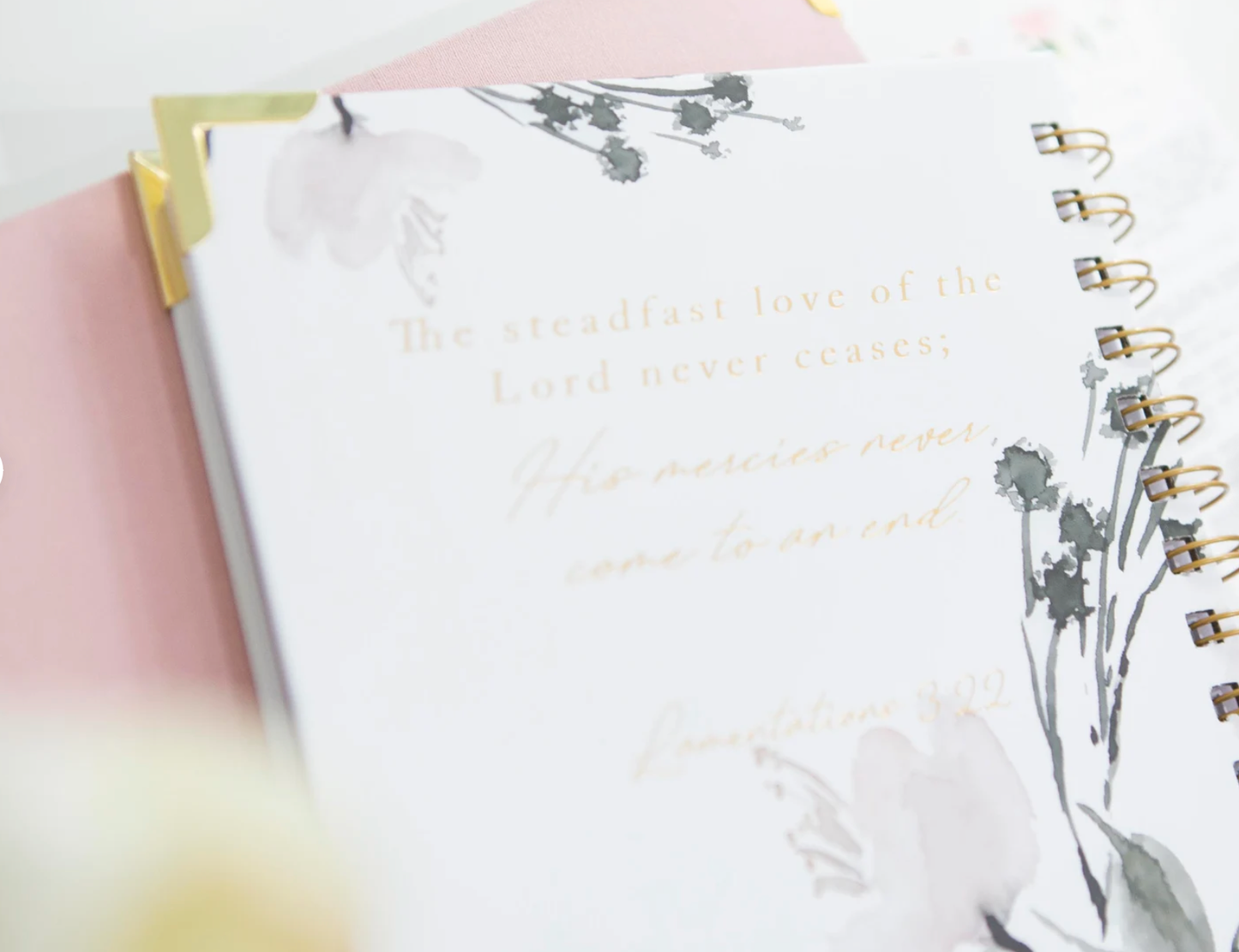 Bible Study Journal - Streams of Mercy