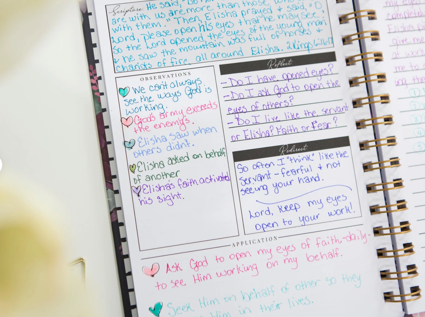 Bible Study Journal - Streams of Mercy