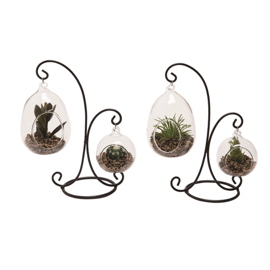 Glass 8 in. Clear Hanging Succulent Display