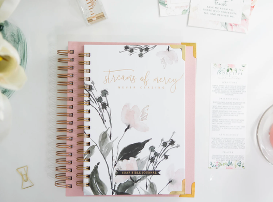 Bible Study Journal - Streams of Mercy