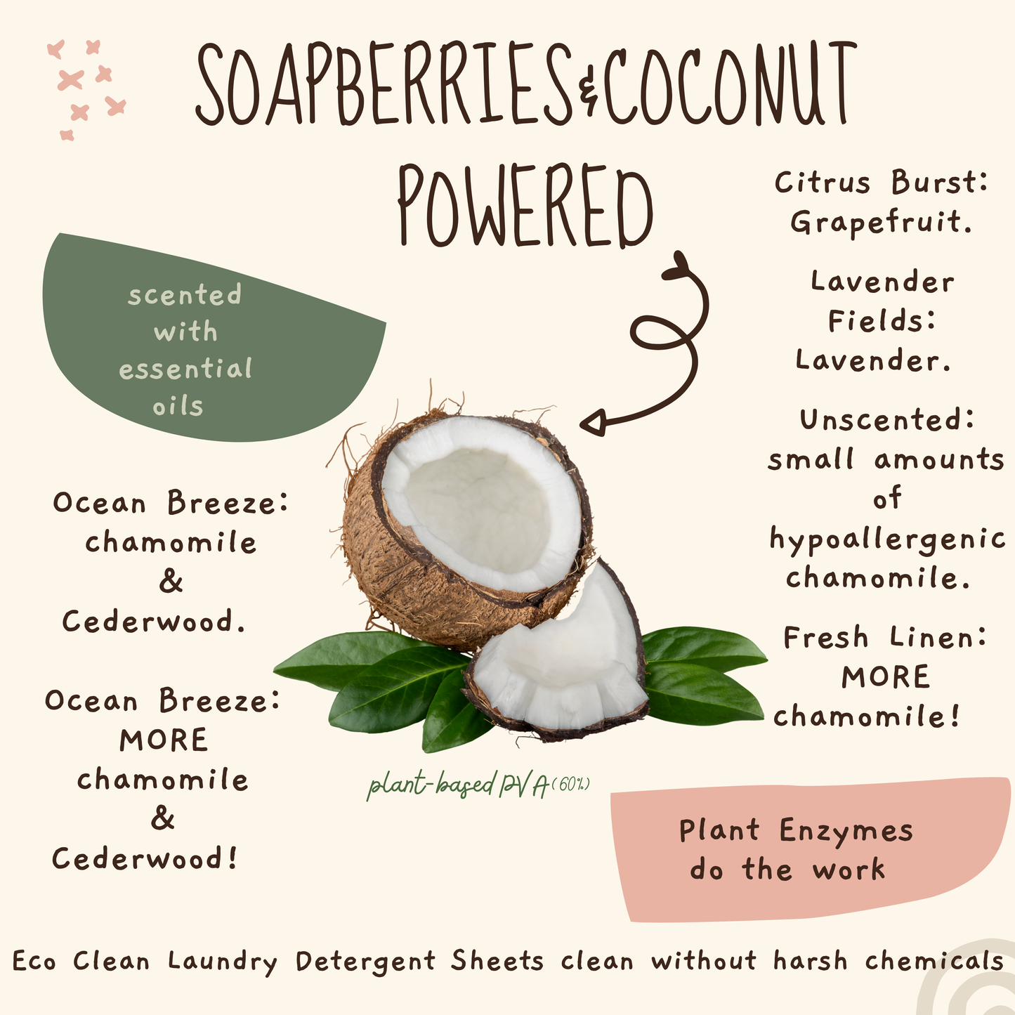 Laundry Detergent Eco Sheets