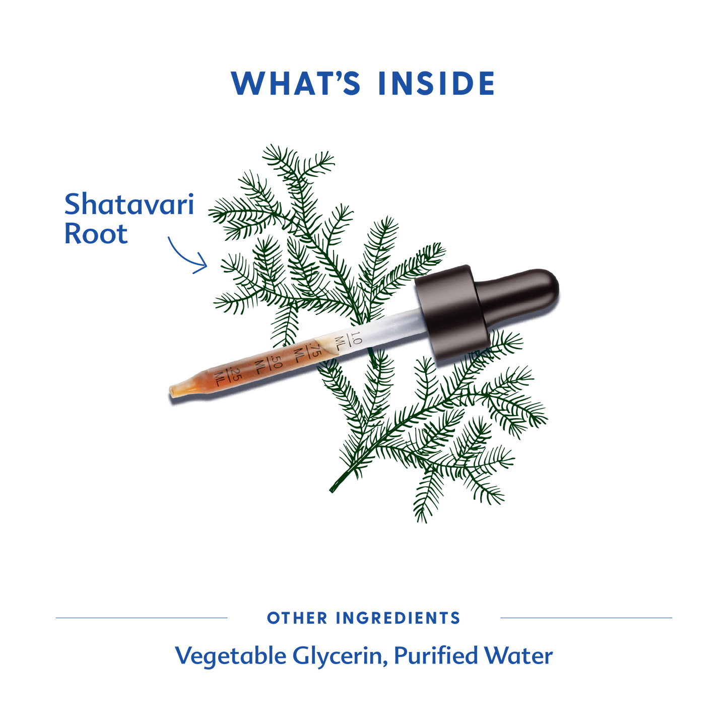 Shatavari - Tincture