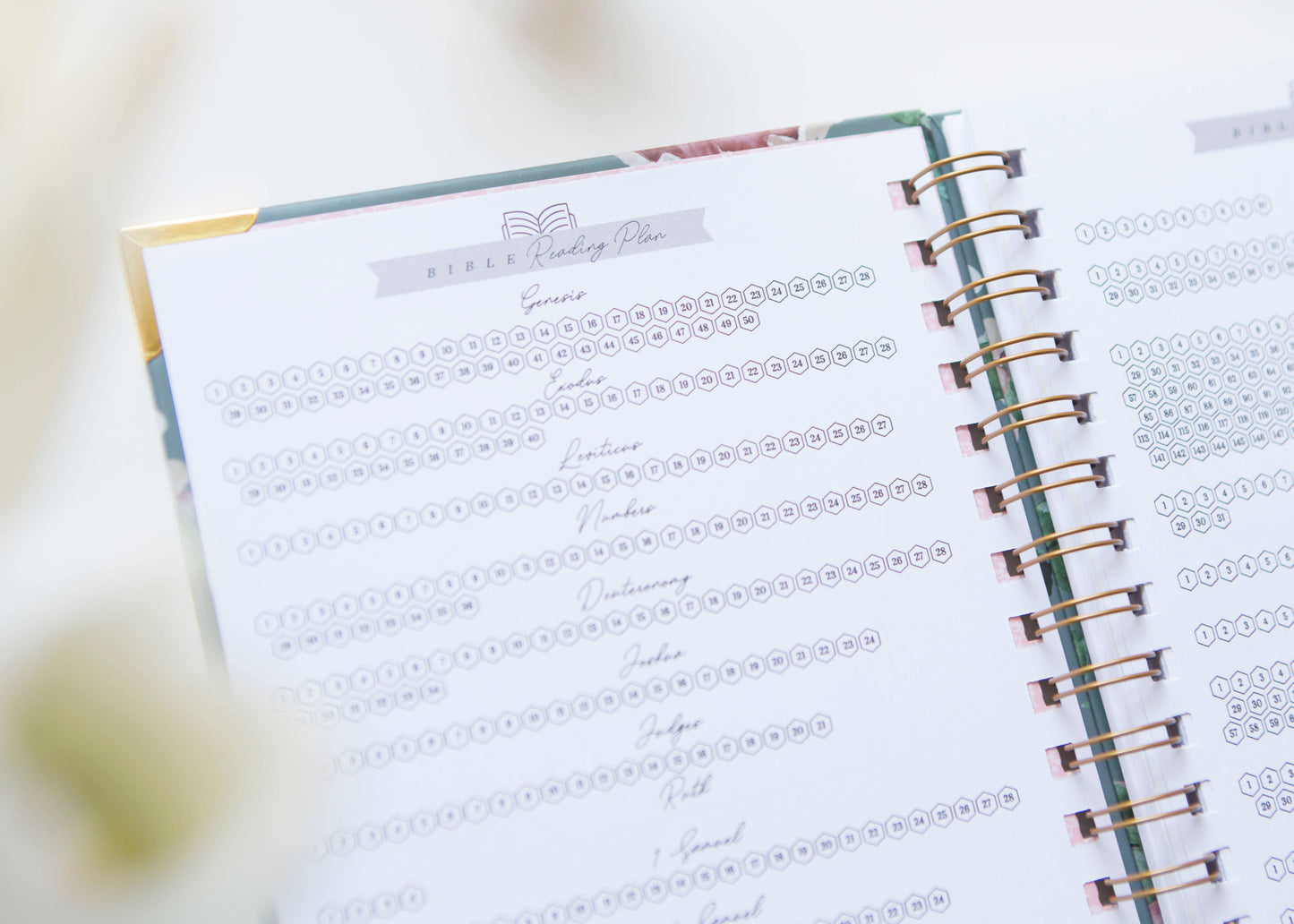 Bible Study Journal | Verse Mapping Journal