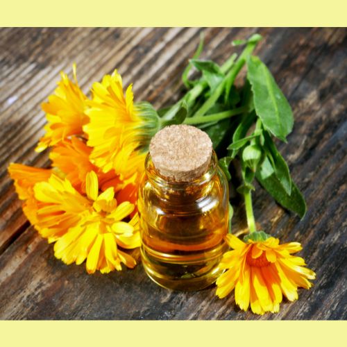 Infused Body Oil